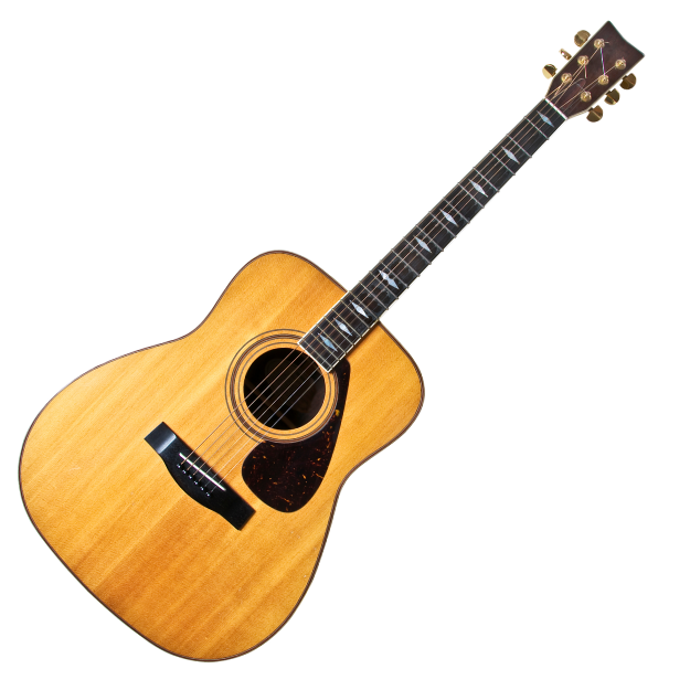 Acoustic Guitar Lessons Delivered